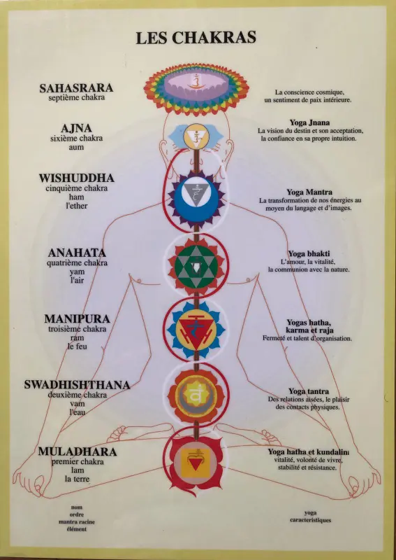 bioenergie les diferents chakras